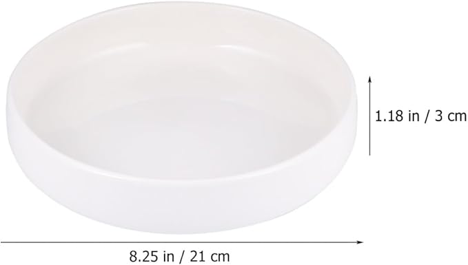 Ceramic Shallow Food Plate 21cm Glossy White Porcelain Serving Dish Convenient Home Accessory for Appetizers Salad and Steamed Food