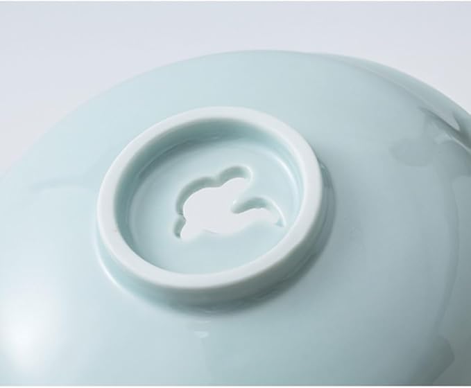 SONGCHAO Party Supplies Sashimi Plate Dry Ice Plate Japanese Creative Tableware Display Plate Ceramic Japanese Food Presentation Fish Plate Party Plates (Color : C)