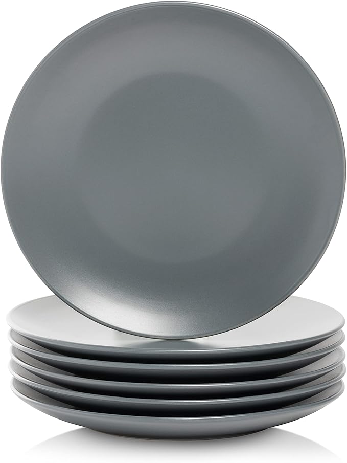 10 Strawberry Street Wazee Matte 8.25" Coupe Salad Plate, Set of 6, Charcoal Gray