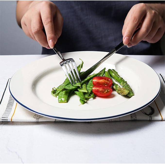 Ceramic Dinnerware Set, 24-Piece Kitchen Dinner Set, Plates, Bowls, Service for 6, Porcelain Round Embossed Dish Set, Tableware Combination Set with Blue Stripe