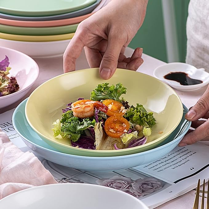 Kitchen Plates Ceramic Plate Salad Sushi Plate Ramen Fruit Steak Plate Suitable for Home Kitchen Restaurant Restaurant Plates(8in-D)