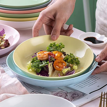 Kitchen Plates Ceramic Plate Salad Sushi Plate Ramen Fruit Steak Plate Suitable for Home Kitchen Restaurant Restaurant Plates(8in-D)