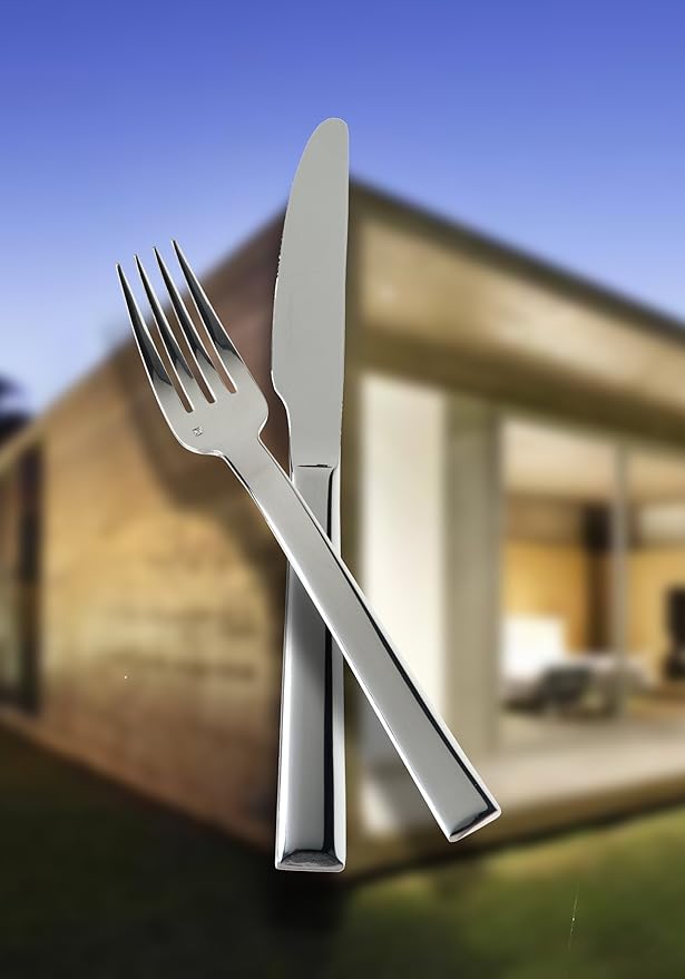Fortessa Still 18/10 Stainless Steel Flatware Solid Handle Table Knife, Set of 12