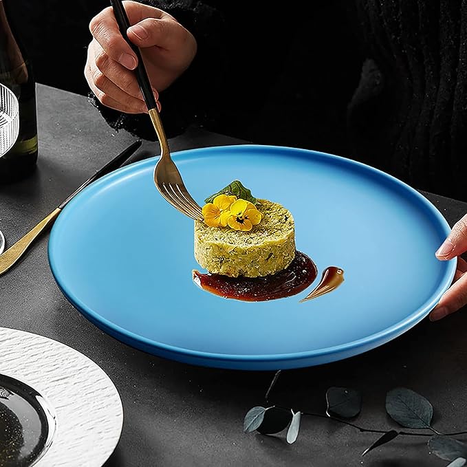 8 Inch Dinner Plates, Matte Blue Ceramic Plates Set of 3, Scratch, Microwave & Dishwasher Safe