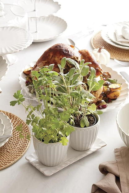 Lenox 896914 French Perle Scallop 3-Piece Herb Pots & Tray Set