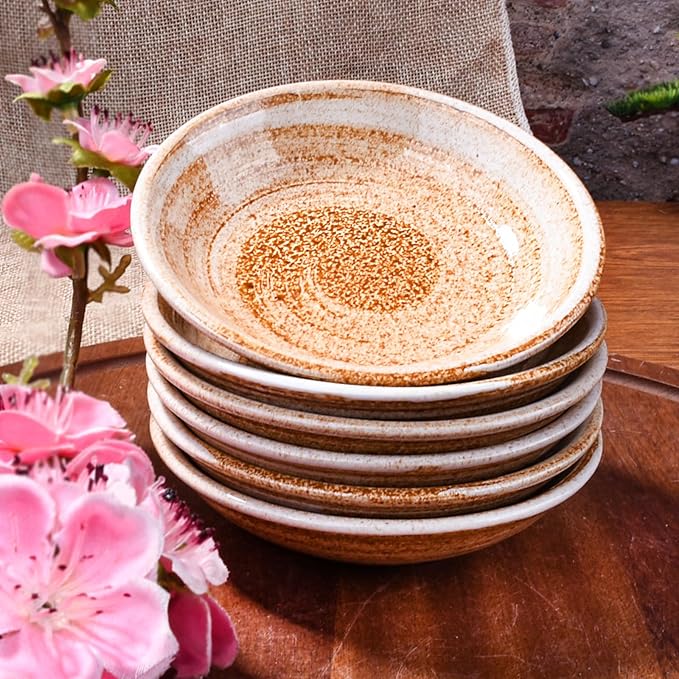 Japanese Ceramic Soy Sauce Dish Set of 5 Porcelain Side Dishes for Sushi Seasoning Dipping